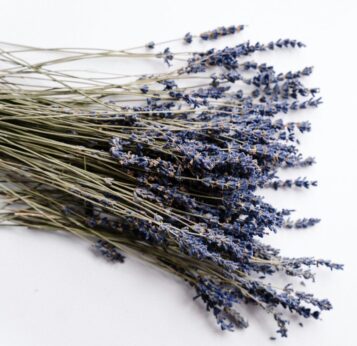 lavendar extra 8